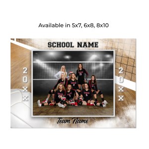 Volleyball Team Group